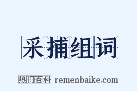 采捕组词是什么意思的图片